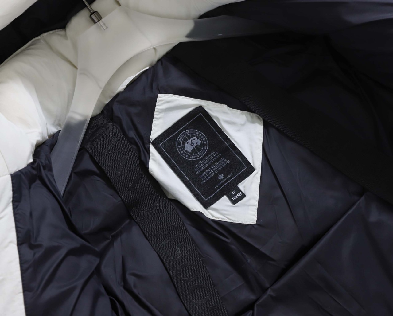 0_578Ud018svc166k5nebbqw2t_ew4xzd.jpg