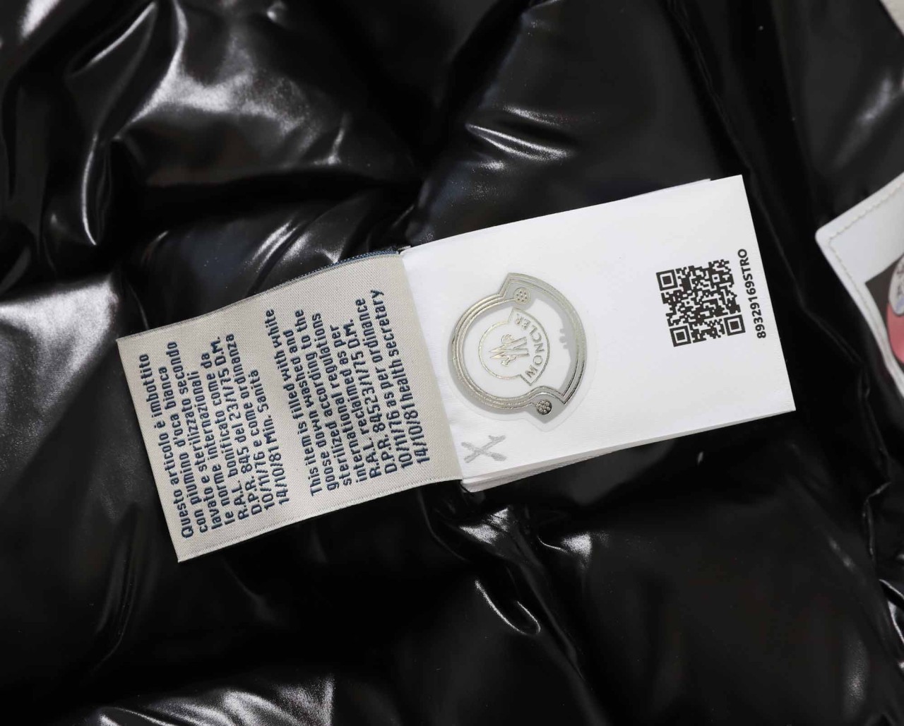 0_501Ud018svc186nf12hjjrjp_ew4xzd.jpg